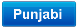 Punjabi 